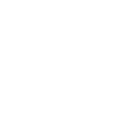 Palmer college of chiropractic white logo